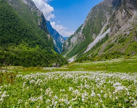 safe to travel to valley of flowers